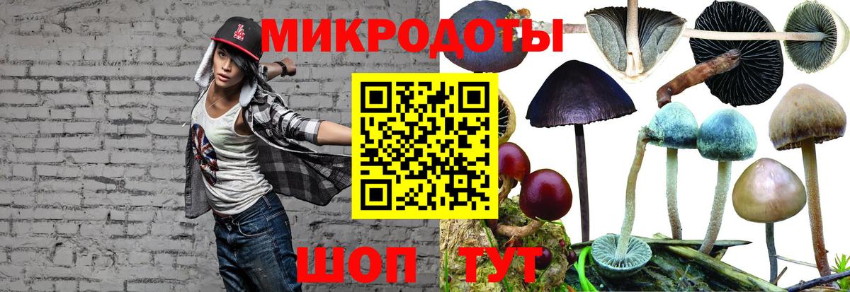 Галлюциногенные грибы GOLDEN TEACHER Вичуга