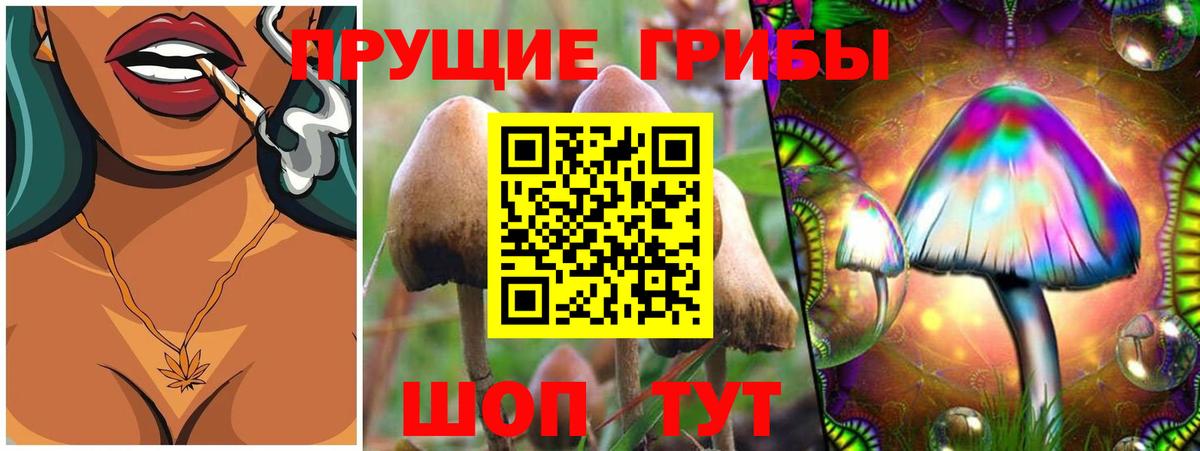 купить наркотики цена  Вход с VPN  Вичуга  Псилоцибиновые грибы мухоморы 
